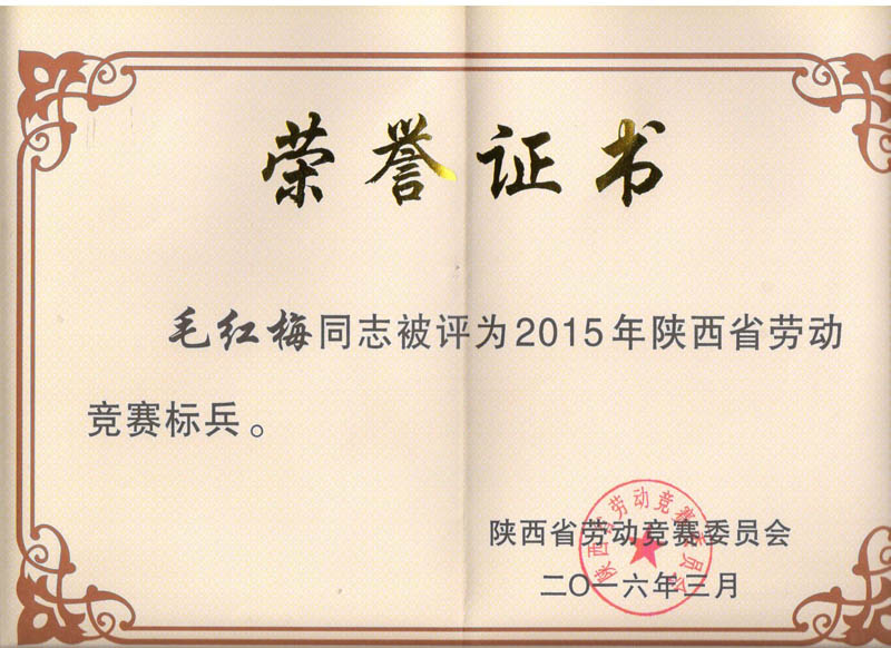 荣誉证书.jpg